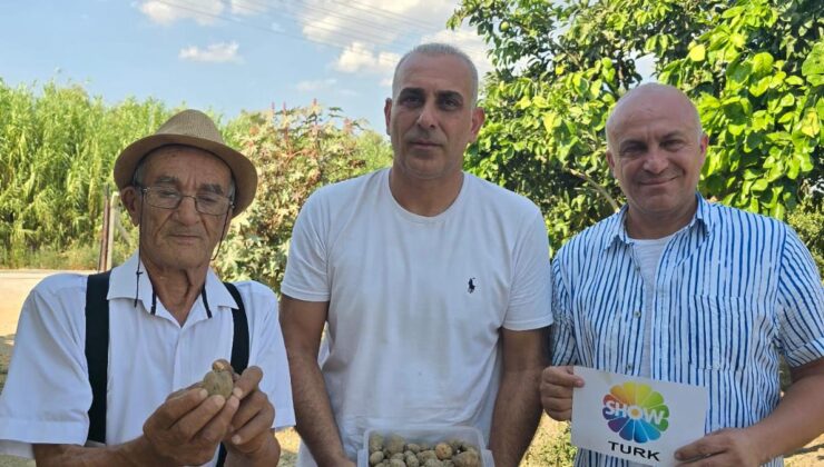 Efeler Tarım’la topraktan sofralarınıza doğal lezzetler