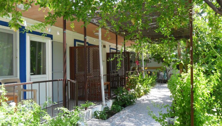 Bodrum’da Doğallığın ve Konforun Yeni Adresi: Mazi Çiçek Pansiyon