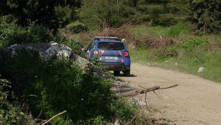 Adana’da ormanda erkek cesedi bulundu