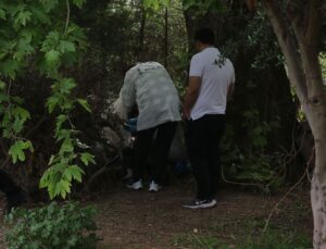 Ağaç altında ölü halde bulundu