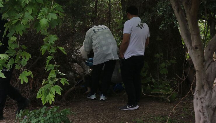 Ağaç altında ölü halde bulundu