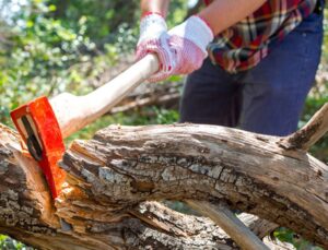 Alanya’da kestiği ağacın altında kalan kişi öldü