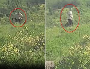 Avcılar’da köpeğe kemerle şiddet uygulayan şüpheli aranıyor