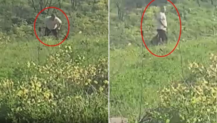 Avcılar’da köpeğe kemerle şiddet uygulayan şüpheli aranıyor