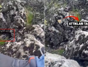 Diyarbakır’da bir garip olay! Korkup taşa tuttukları şey bakın ne çıktı
