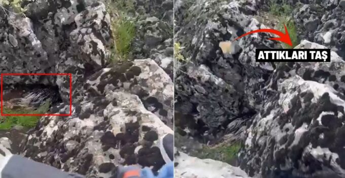 Diyarbakır’da bir garip olay! Korkup taşa tuttukları şey bakın ne çıktı