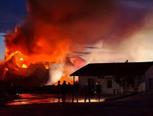 Edirne’de kereste fabrikasında yangın