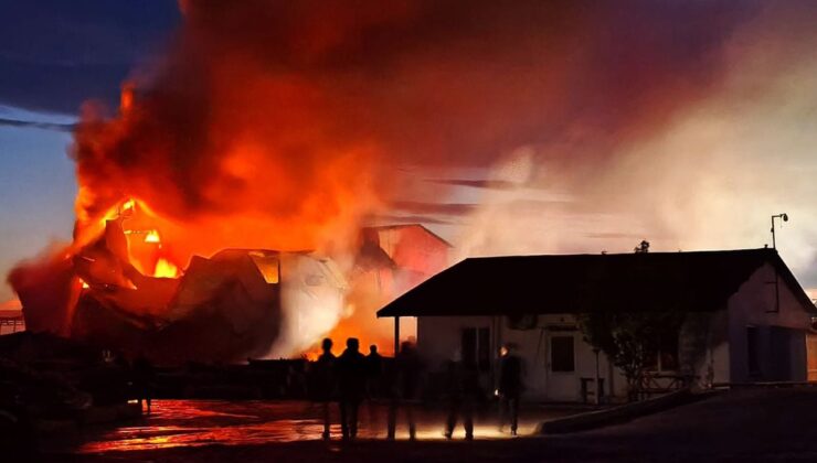 Edirne’de kereste fabrikasında yangın