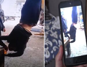 Engelli işçiye eziyet davasında 3 sanığa tahliye