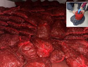 Halk sağlığını hiçe saydılar: 10 ton kaçak midye ele geçirildi
