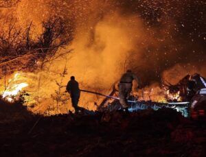 İstanbul Beykoz’daki orman yangını kontrol altına alındı