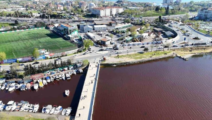 İstanbul’un göbeğindeki gölde korkutan görüntü