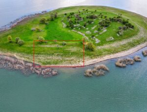 İsviçre değil Türkiye! Uyanık besici çoban masrafından böyle kurtuldu