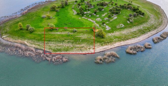 İsviçre değil Türkiye! Uyanık besici çoban masrafından böyle kurtuldu