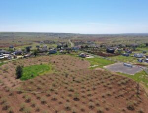 Japonların ve Çinlilerin gözü bu ilçede! Yıllarca devam edecek kazı başlıyor