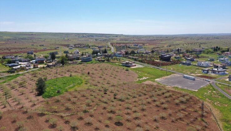 Japonların ve Çinlilerin gözü bu ilçede! Yıllarca devam edecek kazı başlıyor