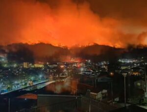 Japonya’nın Iwate eyaletinde orman yangını