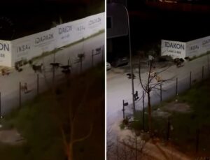 Sancaktepe’de ürküten manzara! Videoyu izleyenler belediye başkanını etiketledi