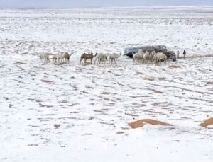 Suudi Arabistan’da çöller dolu yağışıyla beyaza büründü