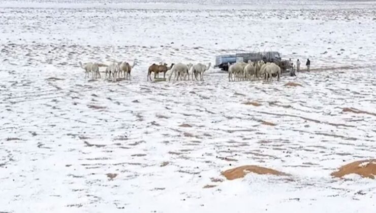 Suudi Arabistan’da çöller dolu yağışıyla beyaza büründü