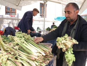 Yılda bir kez çıkıyor, binbir derde şifa oluyor