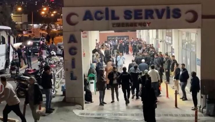 Arazi anlaşmazlığı nedeniyle iki üvey kardeşini öldürdü