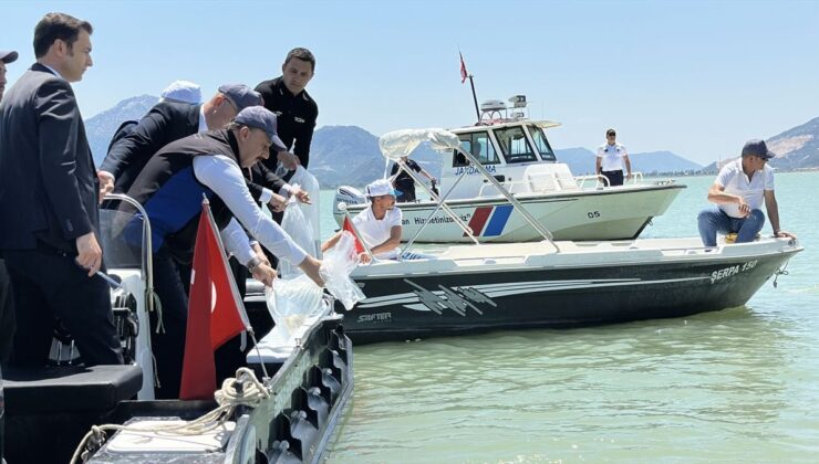 100 bin yavru sazan Eğirdir Gölü’ne bırakıldı