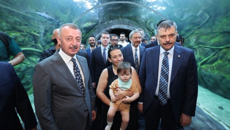 Bakan Çiftçi: Sahipsiz sokak hayvanlarının yüzde 92,35’i barınaklarda muhafaza ediliyor