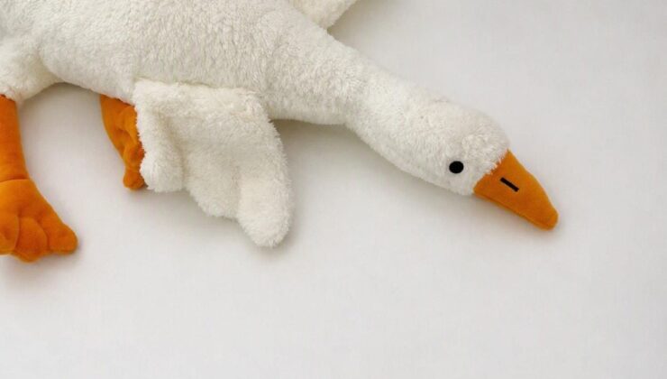 Bakanlıktan ‘peluş kaz’ oyuncağına yasak ve toplatma kararı