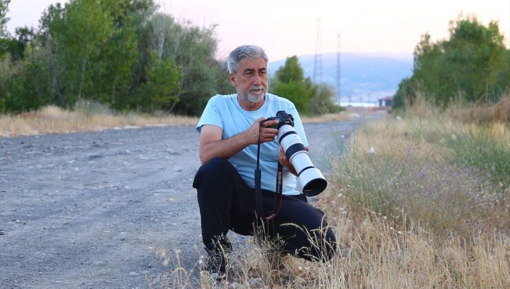 Bingöllü öğretmen 5 yıllık çalışmayla kentin kuş zenginliğini fotoğrafladı