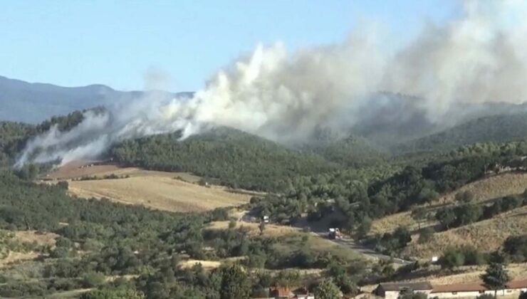 Çanakkale Bayramiç’teki orman yangını 4,5 saatte kontrol altına alındı