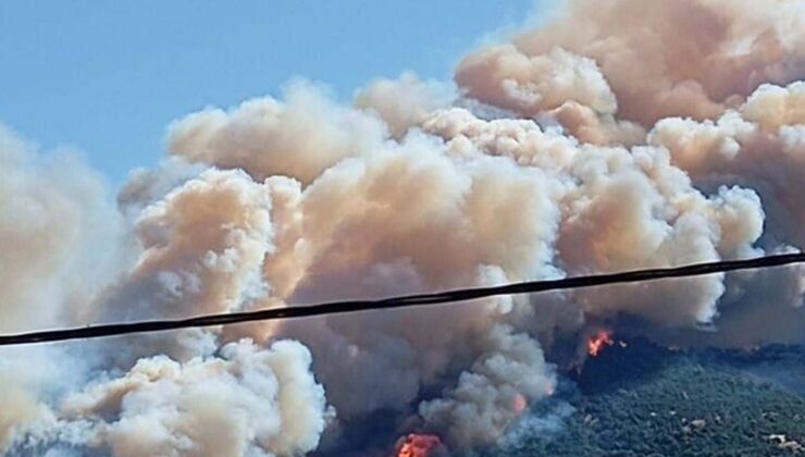 Çanakkale’de orman yangını