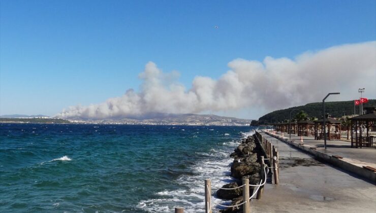 Çanakkale’de ormanlık alanda çıkan yangına müdahale ediliyor
