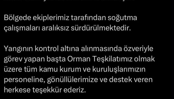 Çanakkale’de tarım arazisinde yangın