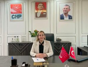 CHP Diyarbakır Kadın Kolları Başkanı istifa etti