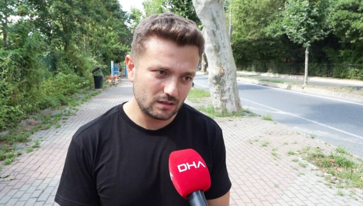 Çınar Kanseri Tehdidi: Beşiktaş’taki Tarihi Ağaçlar İçin Budama ve Uyarılar