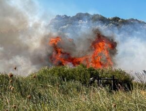 Datça’da Makilik Alanda Yangın: 2 Dönüm Zarar Gördü