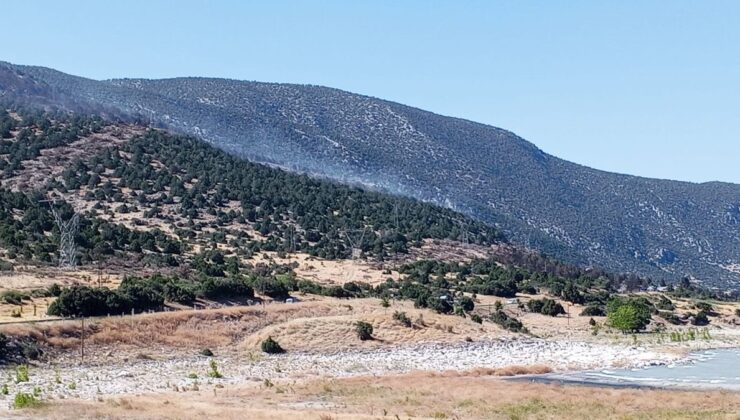 Eğirdir Gölü kenarında 2 noktada yangın