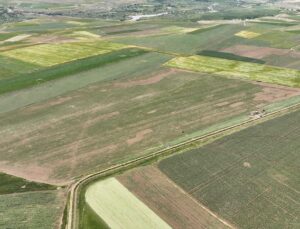 Erzincan’da alternatif ürünlerle tarımsal üretim çeşitleniyor