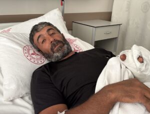Erzincan’da ayı saldırısına uğrayan kişi yaralandı