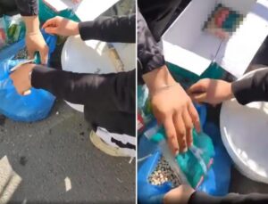 Esnaftan pes dedirten oyun! Marketten alıp ‘köy nohudu’ diye satmışlar