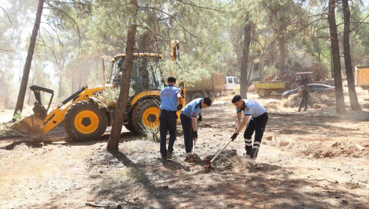 Gaziantep’te orman yangını riskine karşı temizlik çalışması yapıldı