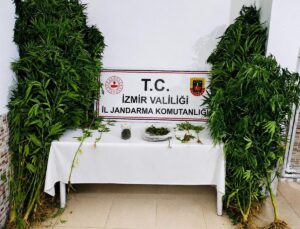 İzmir’de bir zanlı evinde Hint keneviri yetiştirdiği gerekçesiyle tutuklandı