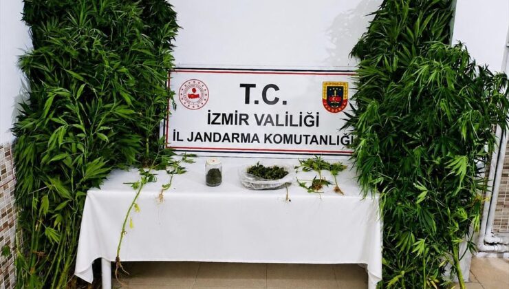 İzmir’de bir zanlı evinde Hint keneviri yetiştirdiği gerekçesiyle tutuklandı