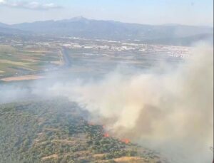 İzmir’de orman yangını