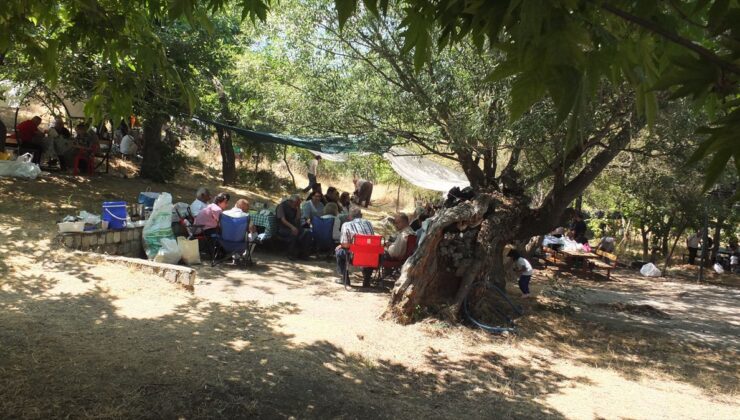 Keban’da 29. Birvan Piri Davut Şenliği Yapıldı