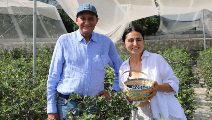 Kurumsal firmalardaki işlerini bırakan çift, sürdürülebilir çiftlik hayalini gerçekleştirdi