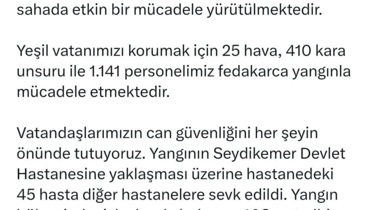 Muğla’da orman yangını