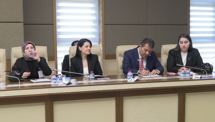 Okul Olaylarını ve Dijital Riskleri Araştırma Komisyonu’nda öğrenciler konuştu: Bir arkadaşımız zorbalığa, şantaja ve siber zorbalığa uğradığında ne yapacağını bilemiyor