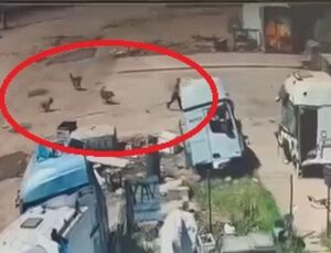 Silopi’de başıboş köpeklerin saldırdığı çocuğu babası ve amcası kurtardı